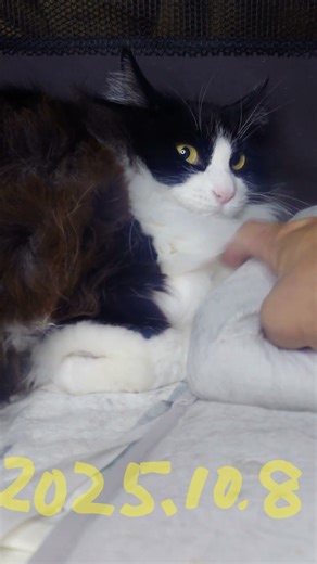 2025年12月8日ぱんとぼく119