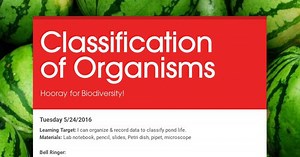 Classification of Organisms