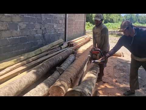 EASY WOOD CUTTING SKILLS! FAST & EFFICIENT TECHNIQUE YOU MUST SEE-agriculture farming
