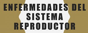 Enfermedades del aparato reproductor masculino