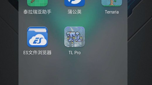 手把手教你如何使用Tl pro（泰拉瑞亚1.3.0.7.7编辑器）