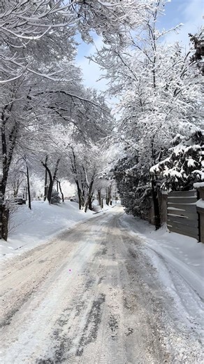 ari.bk (@aribk)’s videos with Snow Falling Outside My Window - Amel Music