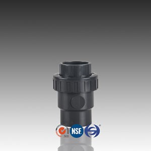 [Hot Item] DIN Standard PVC Check Valve with Single Union