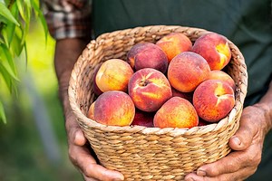 Peaches | Georgia Grown