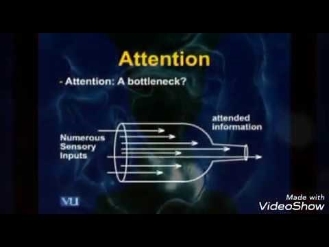Bottle neck theory