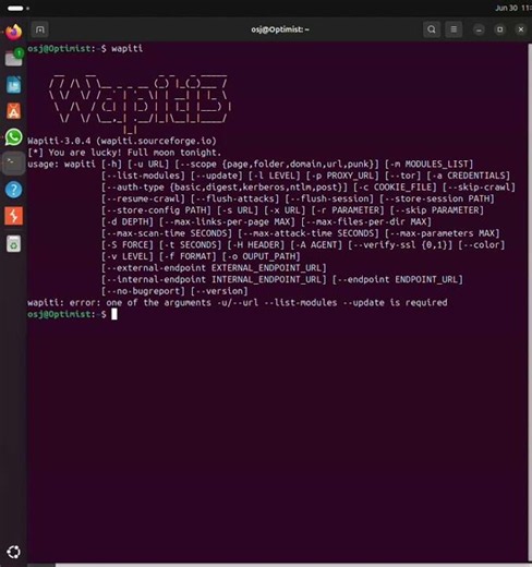 Inside a Web Security Scan: Wapiti Terminal Demo
