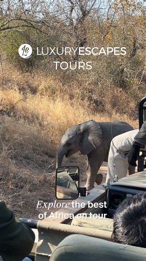 Take your next Africa tour to a whole new level with a Luxury Escapes tour! 🦁🦓🦒 ✔️ Guaranteed 2-person departures ✔️ Premium accommodation ✔️ Small-group journeys | Luxury Escapes