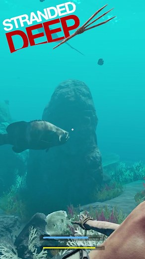 Uncutfreak on TikTok