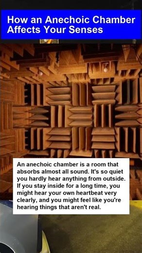 How an Anechoic Chamber Affects Your Senses