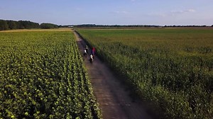 Download Ukrainian Cossacks ride horses on the field 02