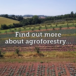 89 reactions · 27 shares | Agroforestry combines trees and shrubs...