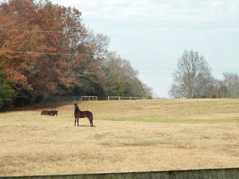 Christ Heals a Paralytic Man-Seen in the Codex Sinaiticus