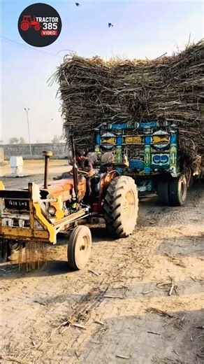 Fiat 640 tractor trailer video performance #foryou #agriculture #tractorpower #automobile