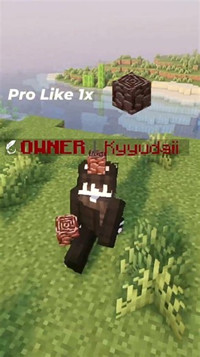 Dieser neue Spieler weiß nicht, was ihn erwartet… #minecraft #smp #deutsch #server #fürdich