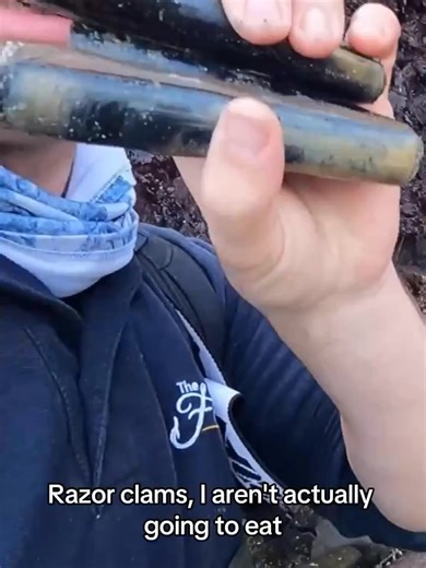 Finding your own fishing bait on the beach #foraging #beachcomber #fishingtiktoks