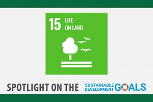 SDG Spotlight: Goal 15 - USask Health Sciences