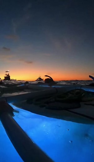 Snorkeler’s POV during our manta ray tour! Beautiful sunset ✅ Stunning Kona Mantas ✅ Aloha Vibes ✅🤙😎 #kona #hawaiitok #mantarays #ocean #fypシ #joinus #vacationvibes