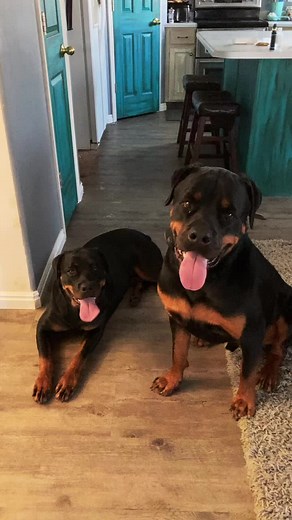 Colt Spencer (@coltspencer)’s videos with original sound - Colt Spencer