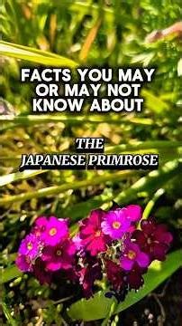 Facts You May or May Not Know About The Japanese Primrose #nature #flowers #plants #facts #shorts