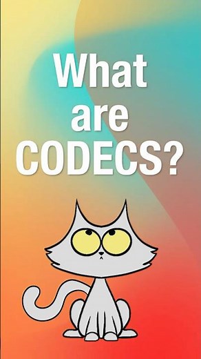 What CODECS really are?