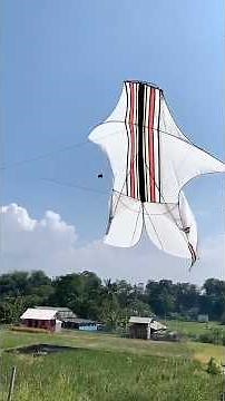 How to make a bebean kite from a broomstick #kites #kites #bebean #gapangan