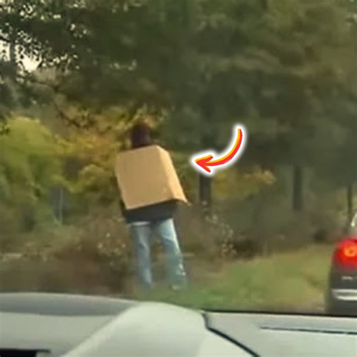 Homeless Man’ Makes Drivers Angry After Getting Fooled By His Sign 🫢 | Daniel D.