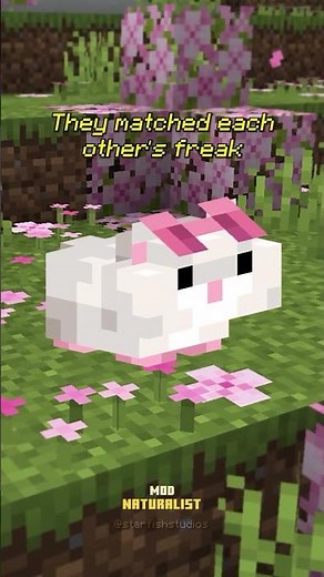 Minecraft Hamsters To Match Your Freak