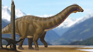 Part of why we’re so fascinated with extinct dinosaurs it’s just hard for us to believe that animals that huge actually existed. And yet, they existed! From the Jurassic to the Cretaceous Periods, creatures as tall as a five-story building were shaking the Earth. | Eons • PBS