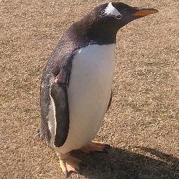 ヨウ素酸カリウムとヨウ化カリウムの化学反応式
