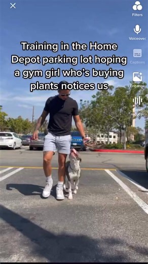 It’s hard to find time to train my own dog now a days. But it reminds me how much work I need to do with him haha. But I love it. Enjoy the process! #dogtraining #bullybreed #adaptk9 #dog #dogsofinstagram #dogs #puppy #doglover #dogstagram #dogoftheday #doglife #instadog #doglovers #pet #love #puppylove #germanserd #fyp | Shane Murray