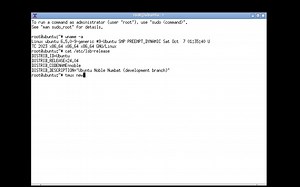 Ubuntu PE Core 24.04 无桌面骨架版发布（Linux 6.5内核 仅136M），附：如何自定义扩展OpenBox桌面