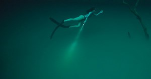 The Molecule That Made Us