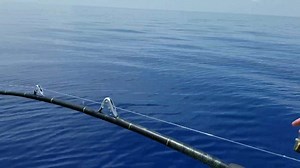 774K views · 2.5K reactions | WE'VE BLOWN EVERYTHING.......UP | FishMonster Key West | Facebook