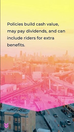 What Is Whole Life Insurance? Learn the Basics