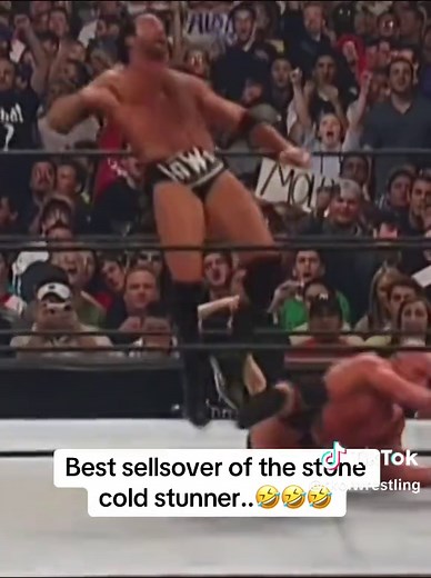 Best Stone Cold Stunner Sellsover Compilation