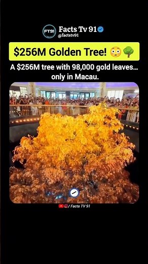 The $256 Million Golden Tree of Macau 😳🌳