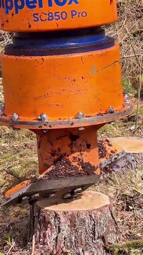 Stump grinding technique destroys wood stumps quickly and efficiently