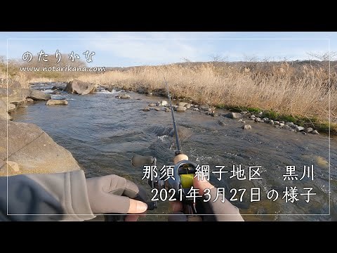 【那須の渓流釣りポイント案内】那須町綱子地区 黒川 2021年3月27日の様子【渓流ベイトフィネス】