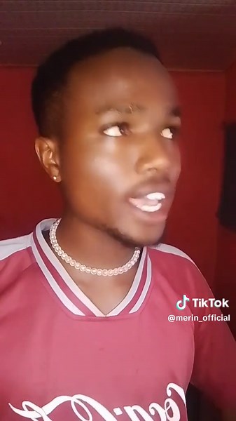 Ellen Merin Comedy Compilation - Funny Merlin Dog Videos