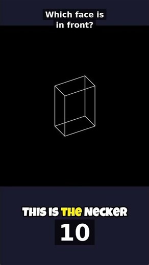 Necker Cube — Which Face Is Closest to You?