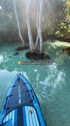 Located in Dunnellon, Florida, Rainbow River is the perfect SUP spot for your next paddle adventure 🙌 This river is known for its exceptional water clarity and is a paddle boarding paradise! Rainbow springs are one of the largest springs in the world, and is also home to a variety of animals, so keep an eye out for critters! Have you explored this gem? @carsonbeachfl . . . #irockersup #inflatablesup #standuppaddleboard #epicsupspots #lifeonthewater #traveldestinations #paddleboardfun #oceanphot