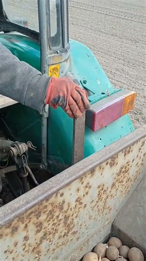sadzenie ziemniaków Ursus c-355 w akcji🚜💪