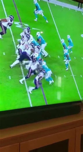 Cat on the pitch 😅 #everydaydogsandcats #dogs #cats #everyday #nfl