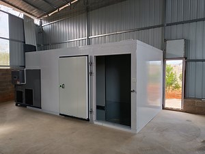 [Hot Item] 2024 Intelligent Dryer Precise Temperature Control Real-Time Monitoring of Humidity Ensure Food Color One-Year Warranty