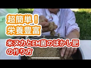 超簡単！栄養豊富 米ぬかとEM菌のボカシ肥の作り方