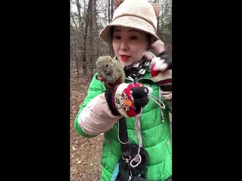 Relaxing Animals & Country Life Live