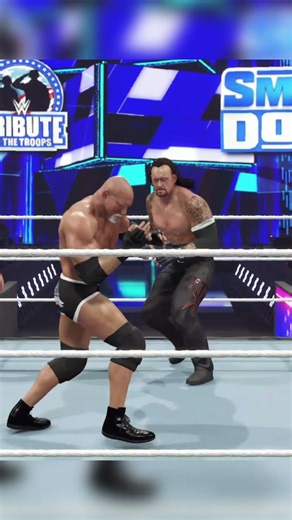 undertaker vs goldberg