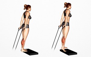 Band Calf Raise: Strengthen Your Gastrocnemius and Soleus – Fitness Volt