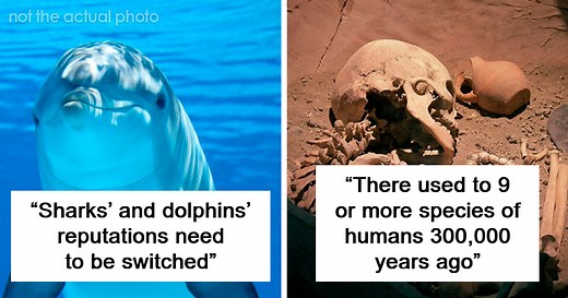 “It’s Just As Horrific As It Sounds”: 50 Disturbing Truths About Animals You Might Wish You Didn’t Know