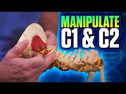 How to Manipulate the Cervical Spine (AA) Joint of C1/C2